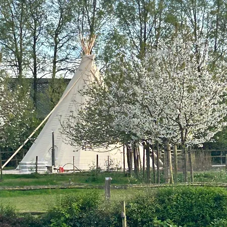 Comfort Tipi Marie, Tipi Bo Deluxe & Tent Nicolai - 'glamping In Stijl' *